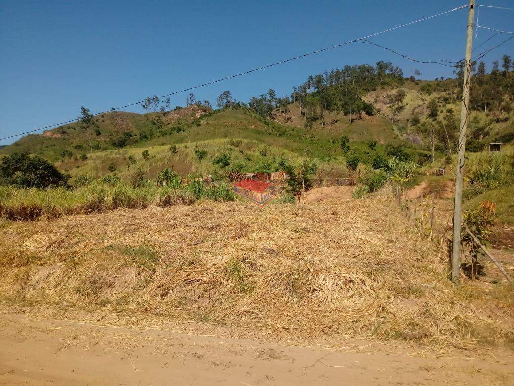 Chácara à venda com 1 quarto, 2000m² - Foto 6